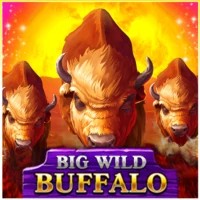 game logo by Belatra Games on happysspins.com