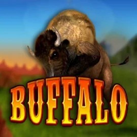 Buffalo Bingo logo by MGA Games at HappySpins CasinoBuffalo Bingo