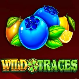 Play Wild Traces slot by Amusnet Interactive on happysspins.com
